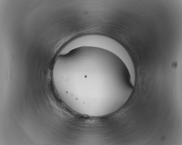 X0000114180164200911051558