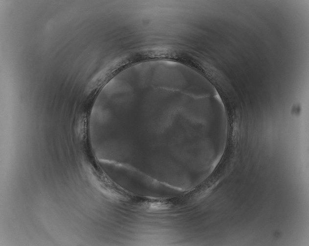 X0000114180165200911051558