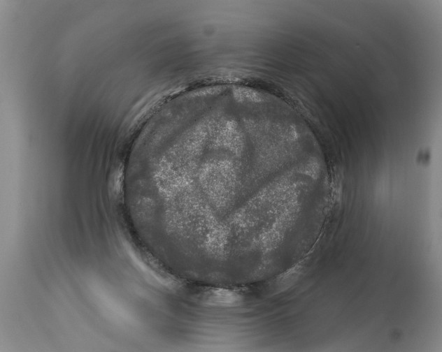 X0000114180166200911051559