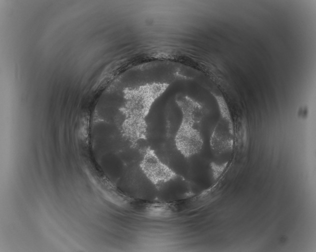 X0000114180175200911051559