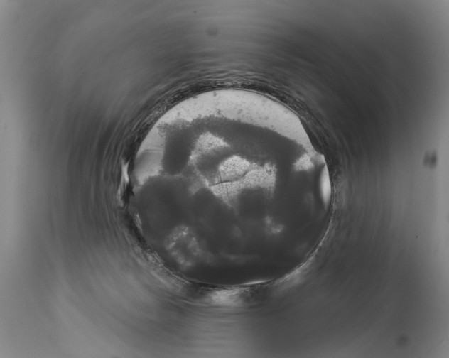 X0000114180178200911051559