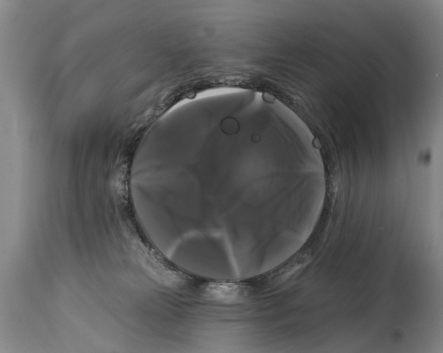 X0000114180181200911051559