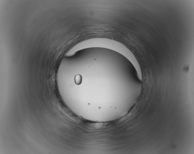 X0000114180184200911051559