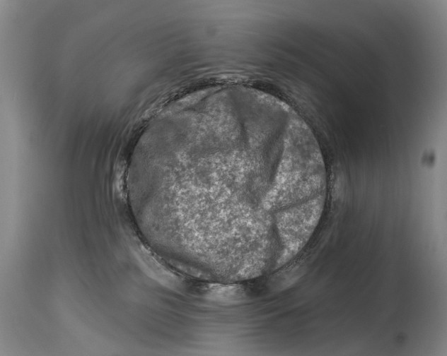 X0000114180185200911051559