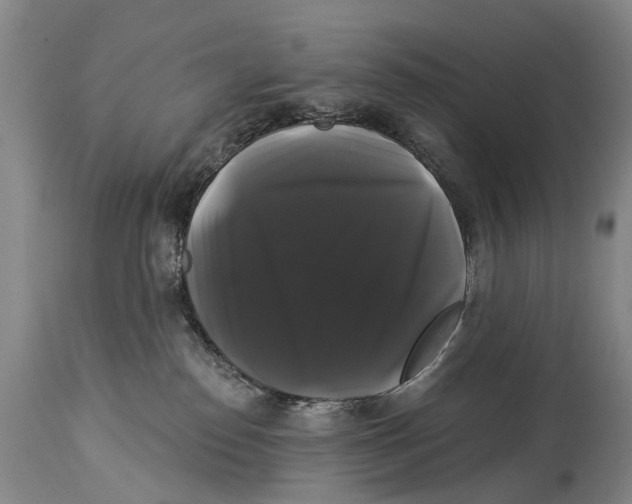 X0000114180186200911051559