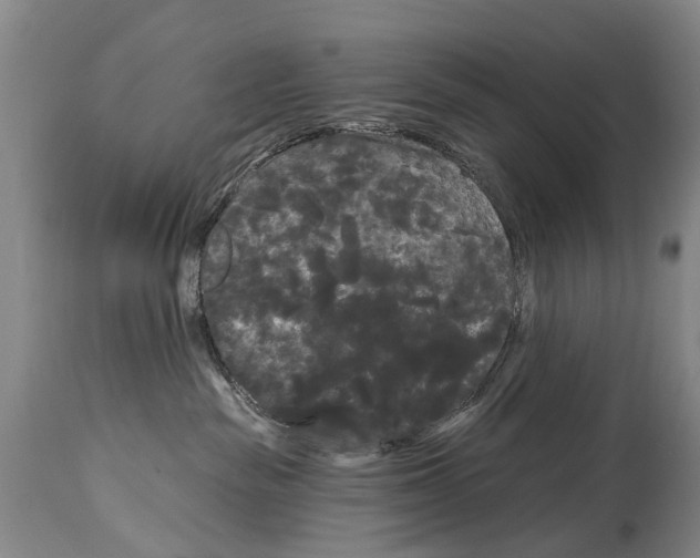 X0000114180189200911051559