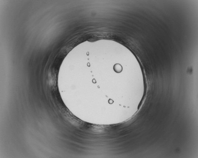 X0000114180190200911051559