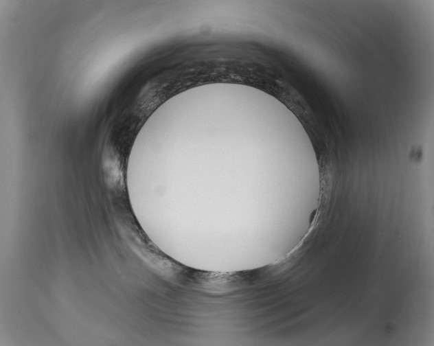 X0000114180191200911051559