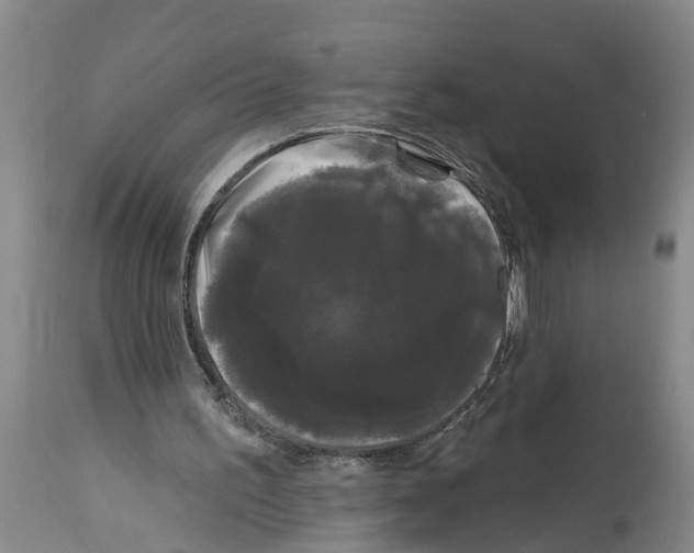 X0000114180195200911051558