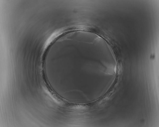 X0000114180198200911051558