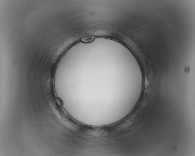 X0000114180201200911051558