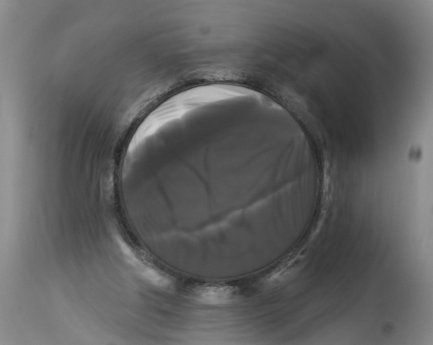 X0000114180202200911051558