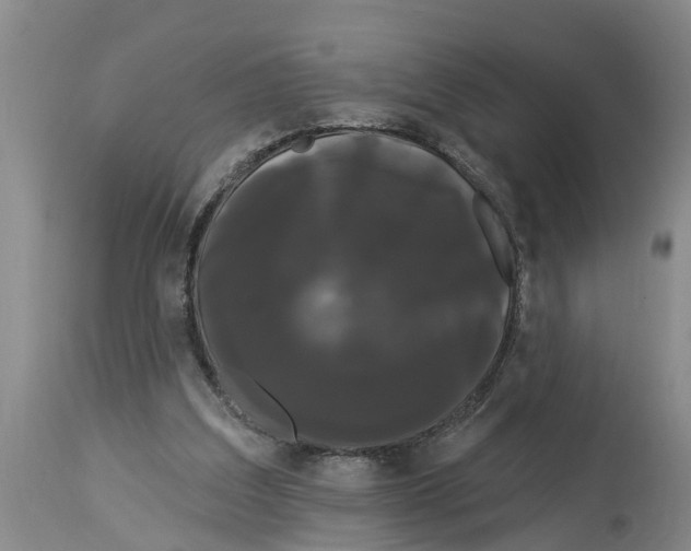 X0000114180203200911051558