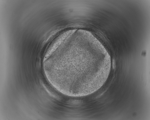 X0000114180205200911051558