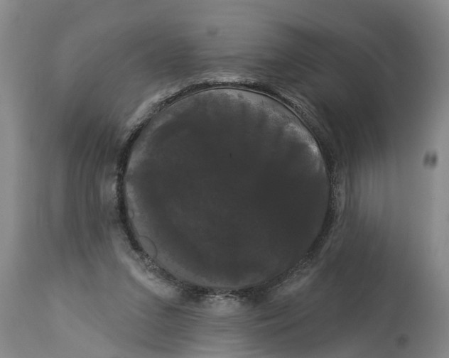 X0000114180207200911051558