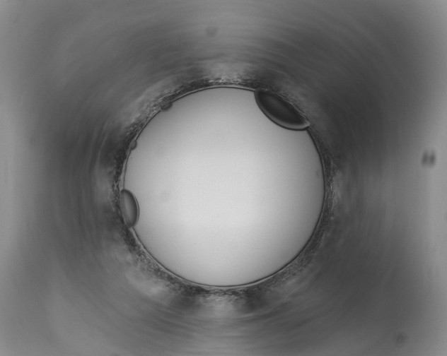 X0000114180209200911051558