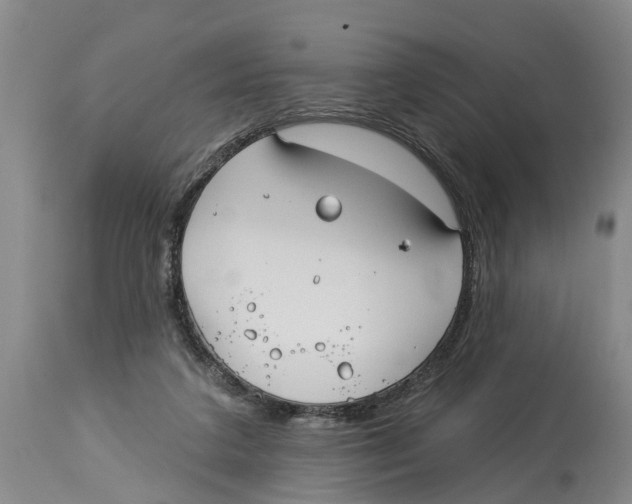 X0000114180211200911051558