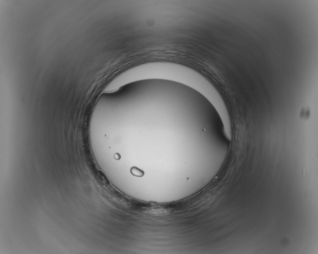 X0000114180217200911051558