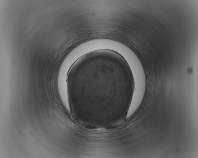 X0000114180219200911051558