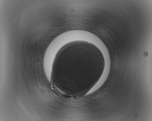 X0000114180223200911051558