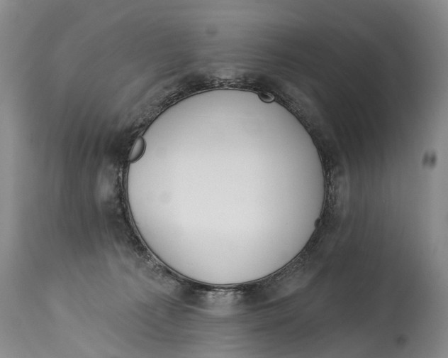 X0000114180225200911051558