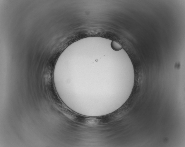 X0000114180226200911051558