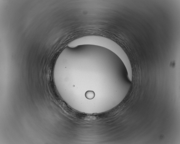 X0000114180227200911051558