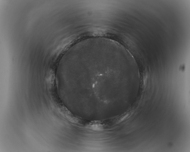 X0000114180228200911051558