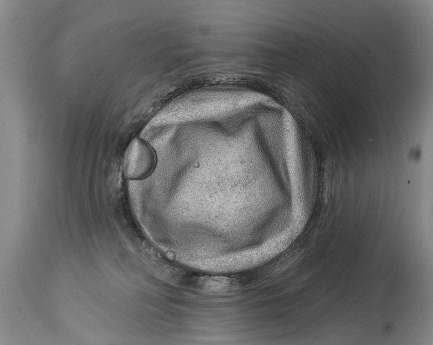 X0000114180230200911051558