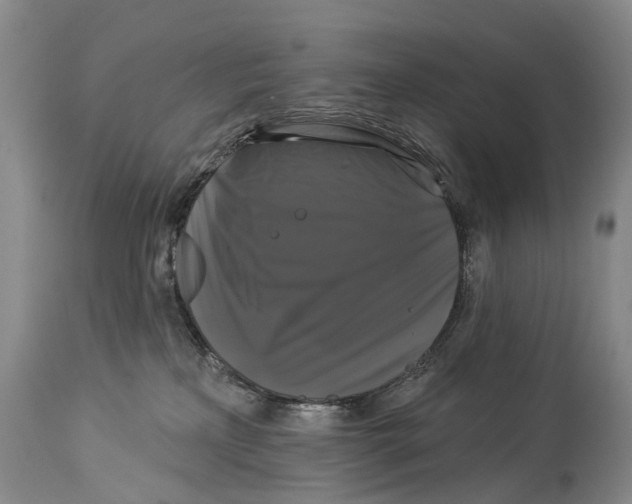 X0000114180233200911051557