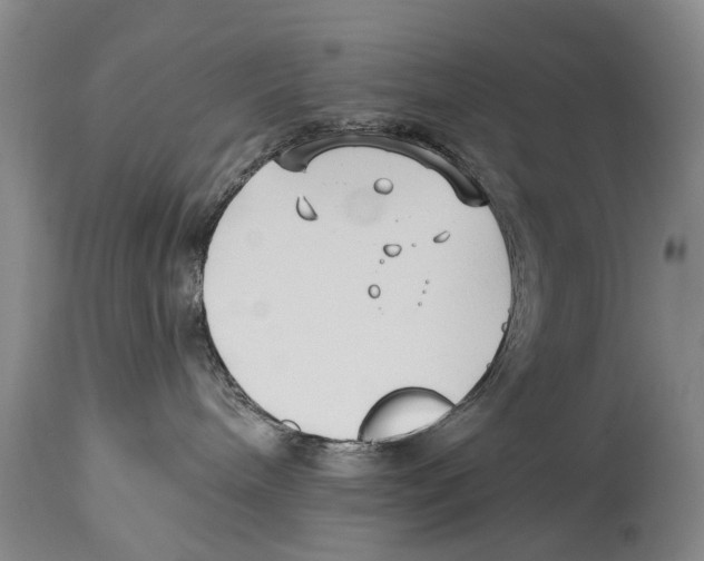 X0000114180240200911051557