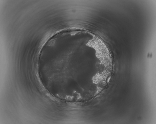 X0000114180241200911051557