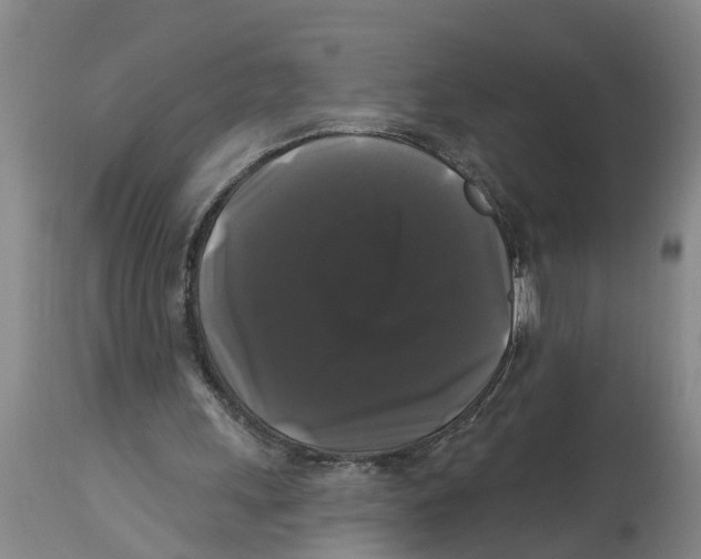 X0000114180243200911051557