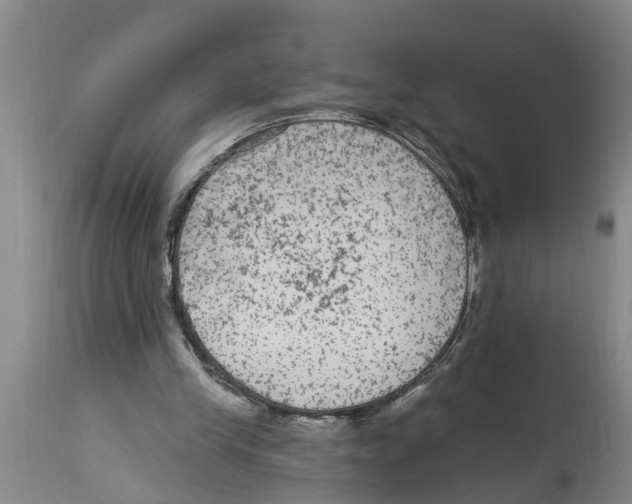 X0000114180245200911051557