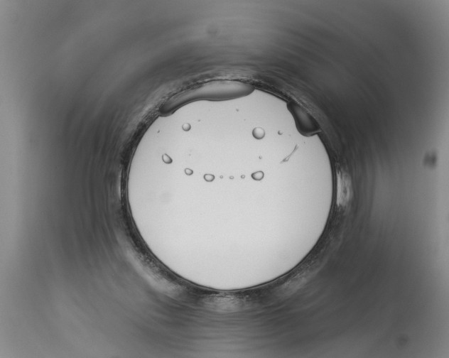 X0000114180253200911051557