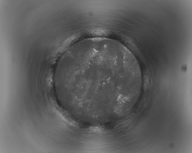 X0000114180259200911051557