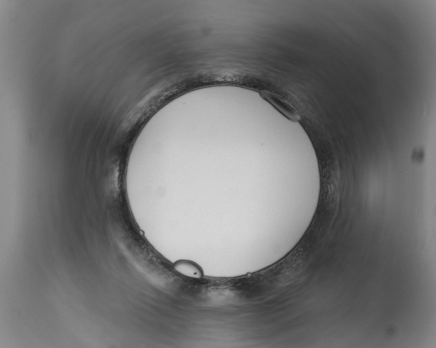 X0000114180262200911051557