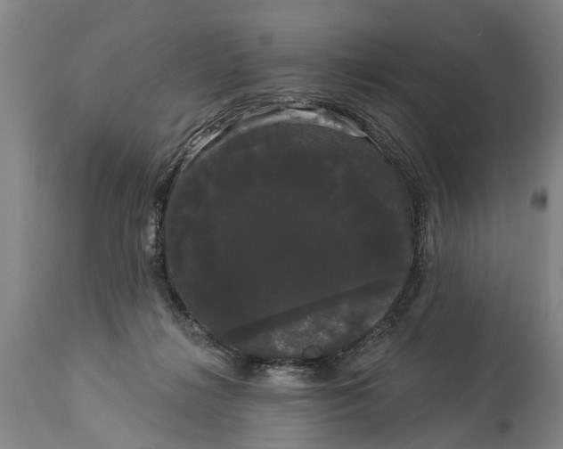 X0000114180268200911051557