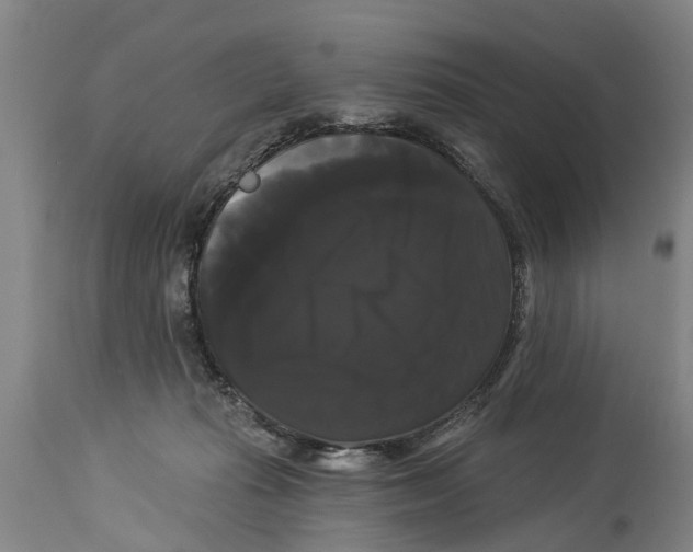 X0000114180269200911051557