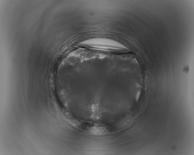 X0000114180270200911051557