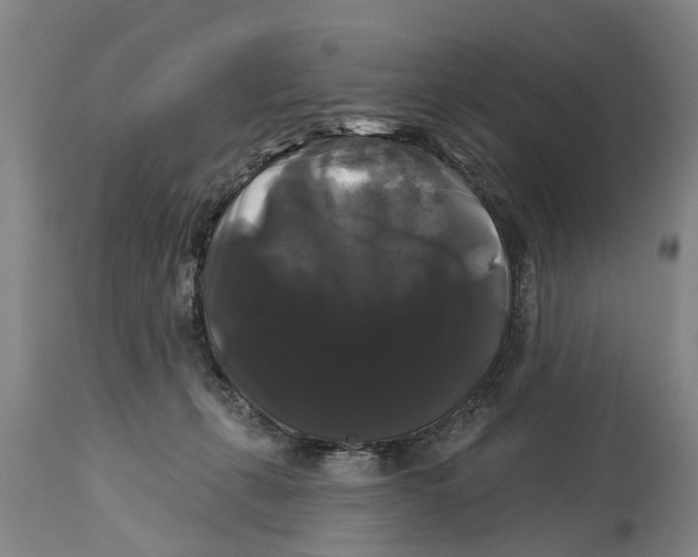 X0000114180271200911051557