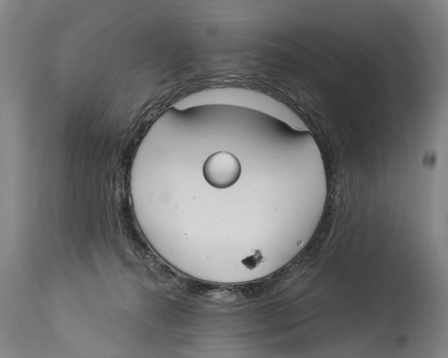 X0000114180272200911051557