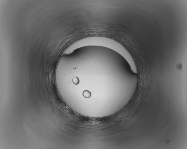 X0000114180276200911051557