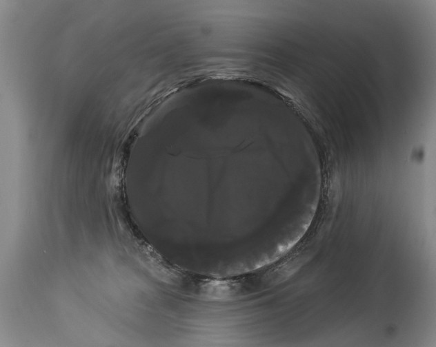 X0000114180277200911051557