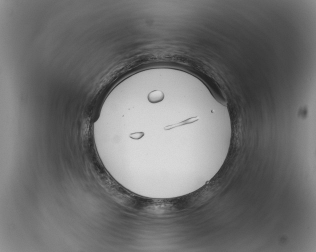 X0000114180278200911051557