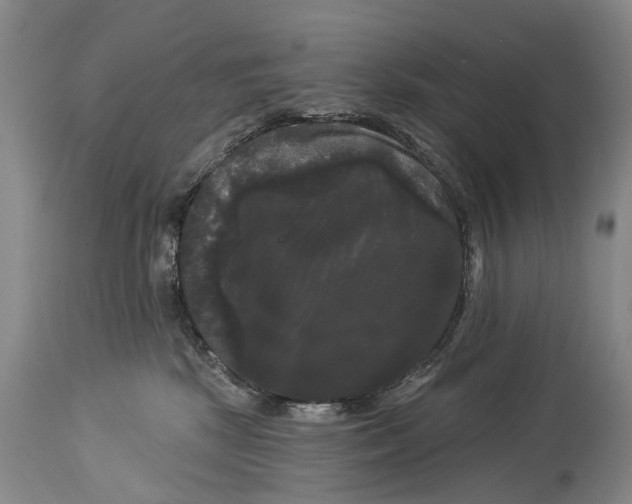 X0000114180281200911051557