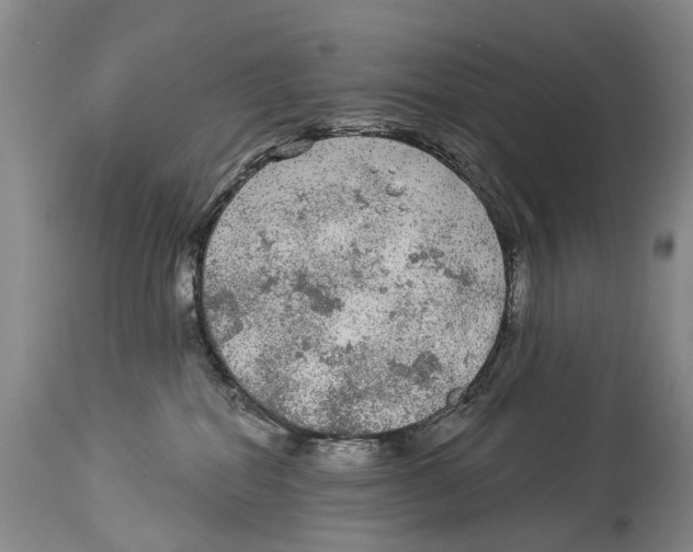 X0000114180282200911051557