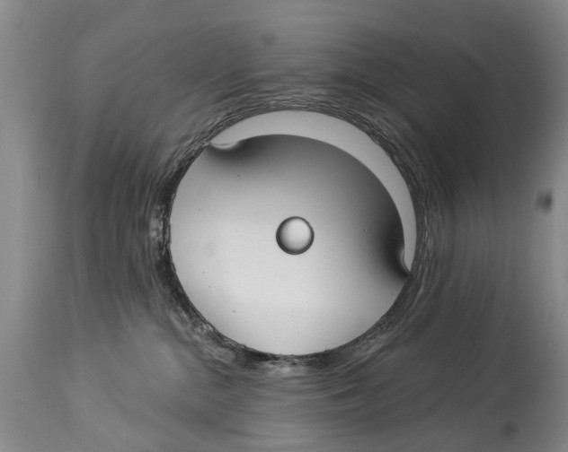 X0000114180284200911051557