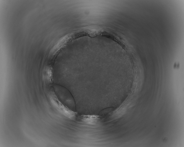 X0000114180288200911051557