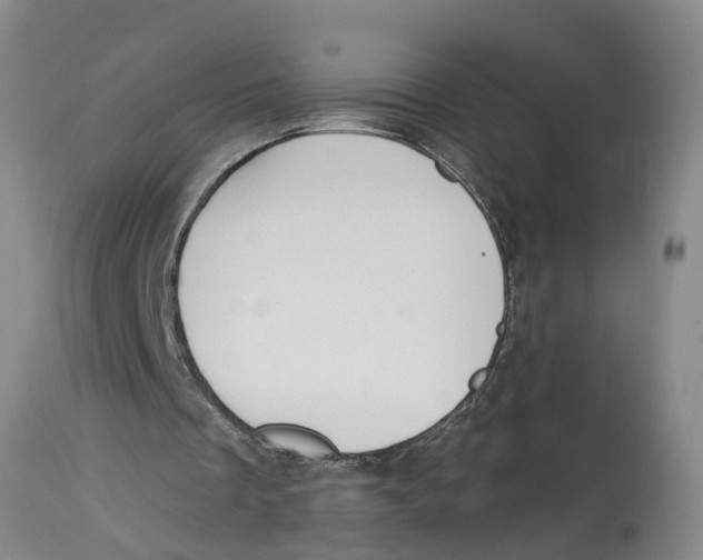 X0000114180289200911051557